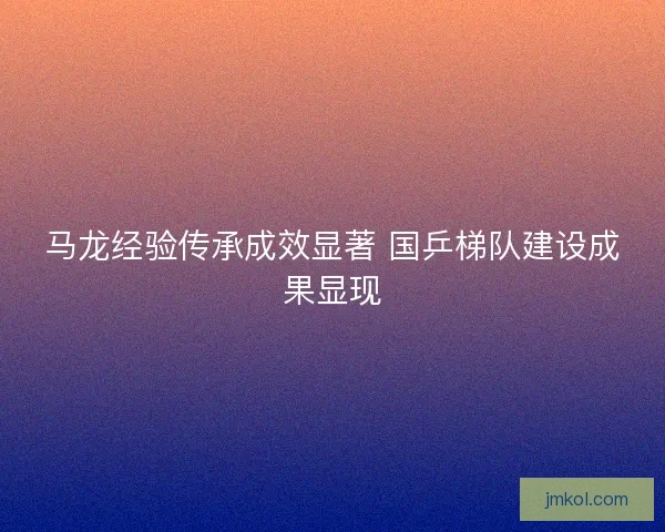 马龙经验传承成效显著 国乒梯队建设成果显现